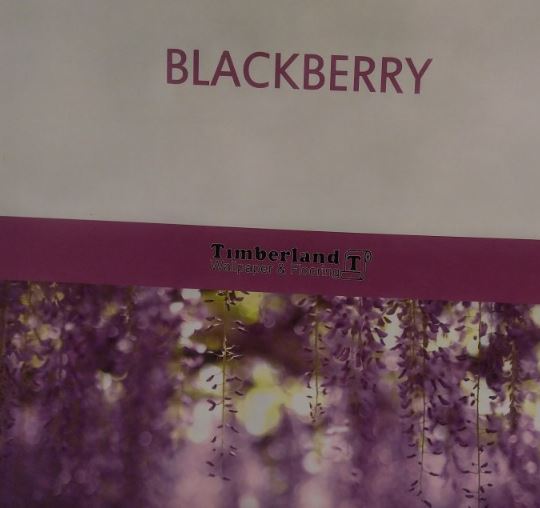 (( BALCKBERRY )) و (( وینچنزو)) آلبومهای کاغذدیواری جدید تیمبرلند